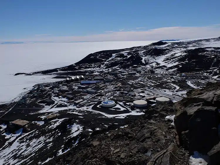 Mapping All of Antarctica’s Vegetation Shows Changing Continent