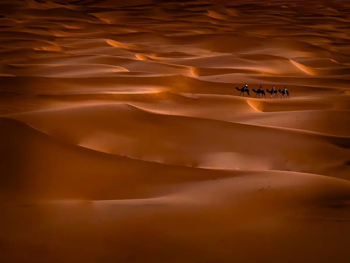 People riding camels in the Sahara