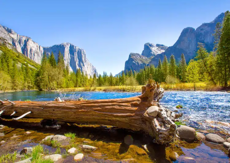 Yosemite Merced River el Capitan and Half Dome