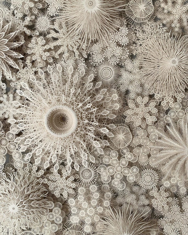 Intricate paper sculptures by Rogan Brown
