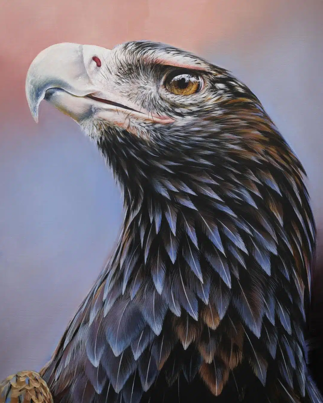 Wildlife Paintings by Carla Grace Ollwitz