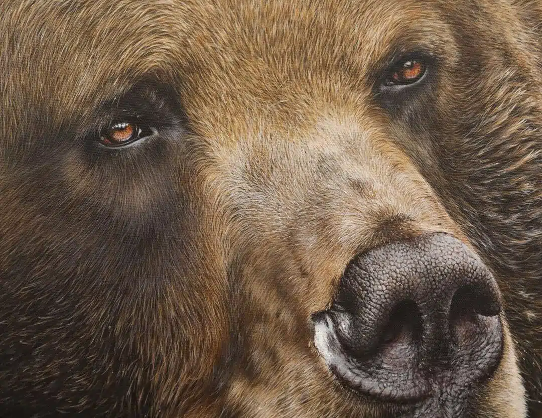 Wildlife Paintings by Carla Grace Ollwitz