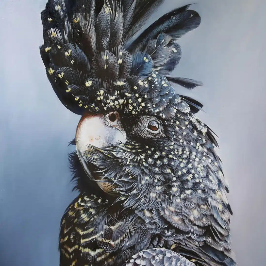 Wildlife Paintings by Carla Grace Ollwitz