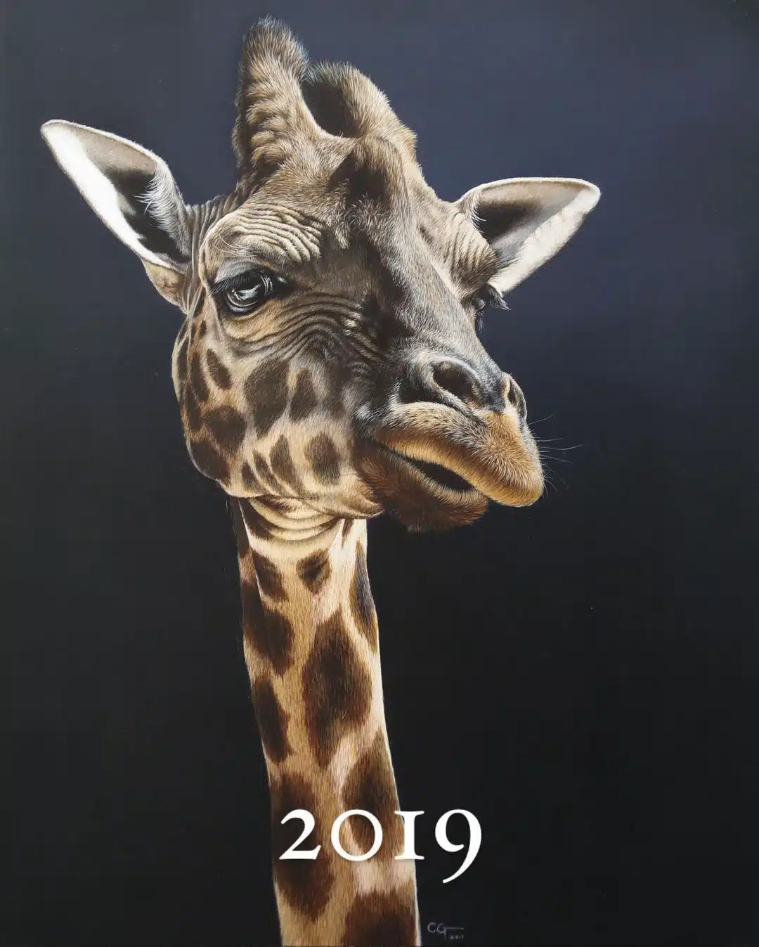 Wildlife Paintings by Carla Grace Ollwitz
