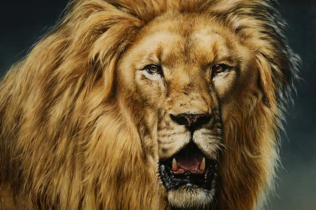Wildlife Paintings by Carla Grace Ollwitz