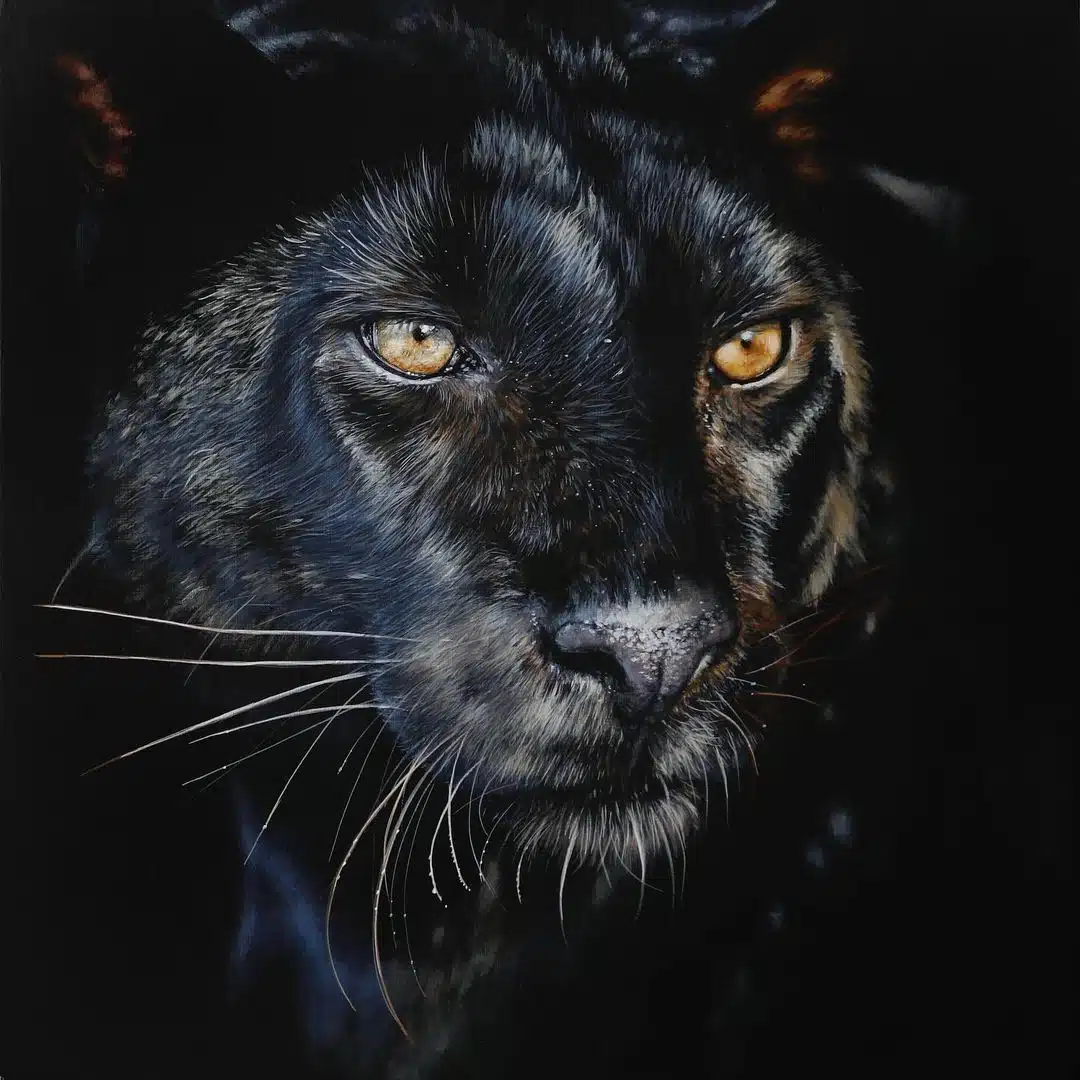 Wildlife Paintings by Carla Grace Ollwitz