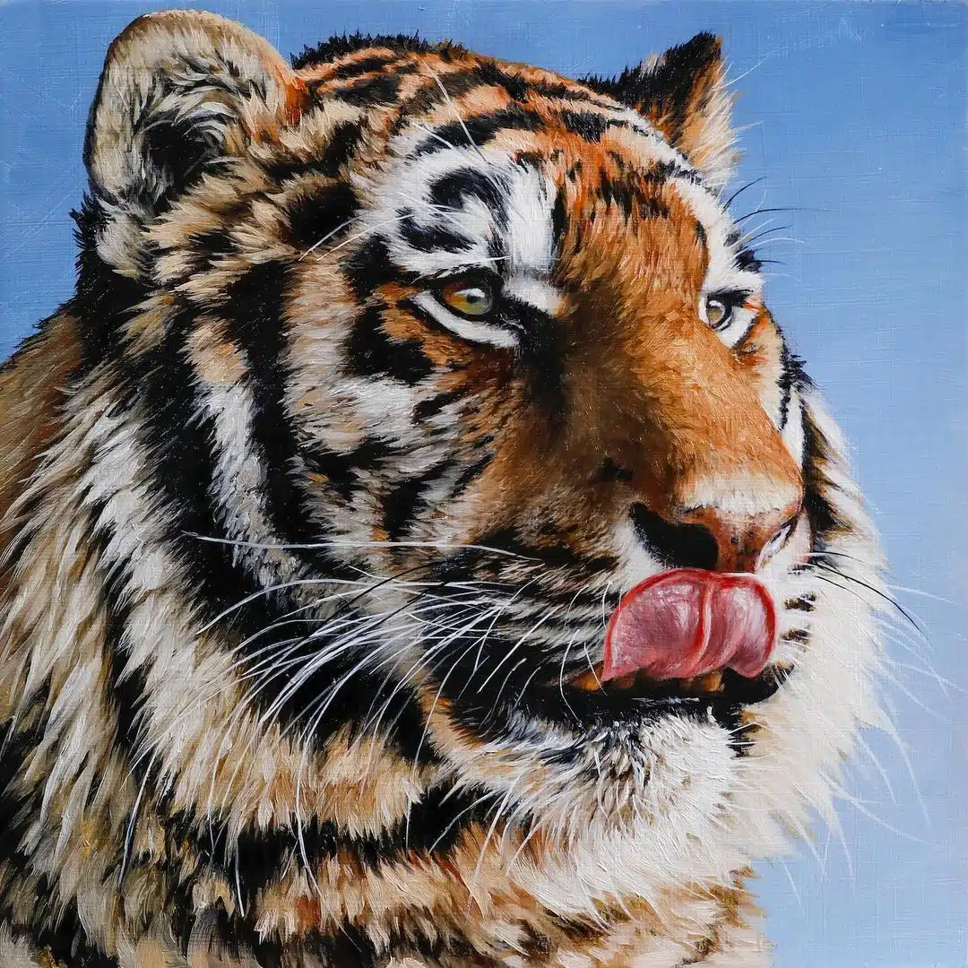 Wildlife Paintings by Carla Grace Ollwitz