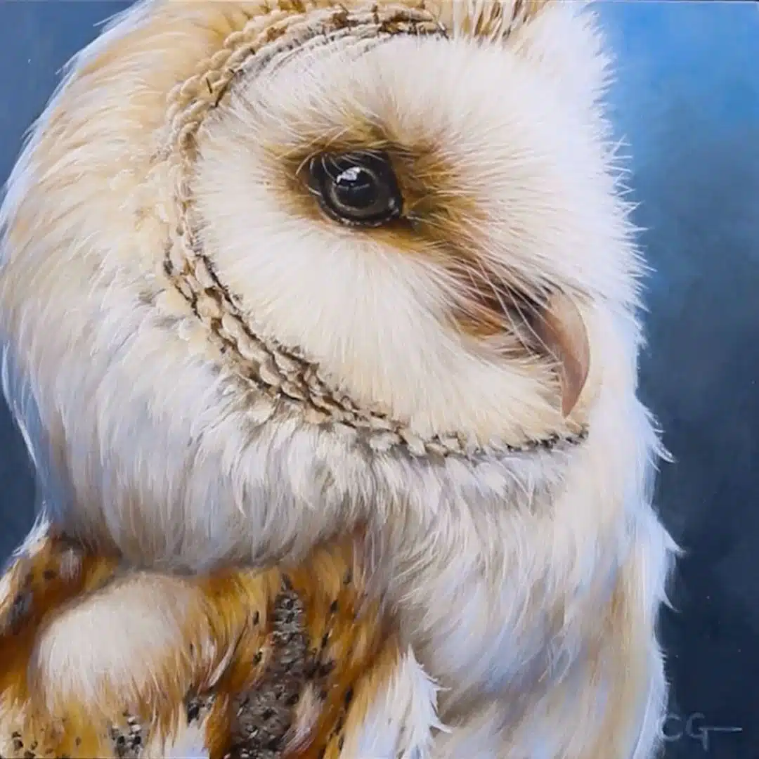 Wildlife Paintings by Carla Grace Ollwitz