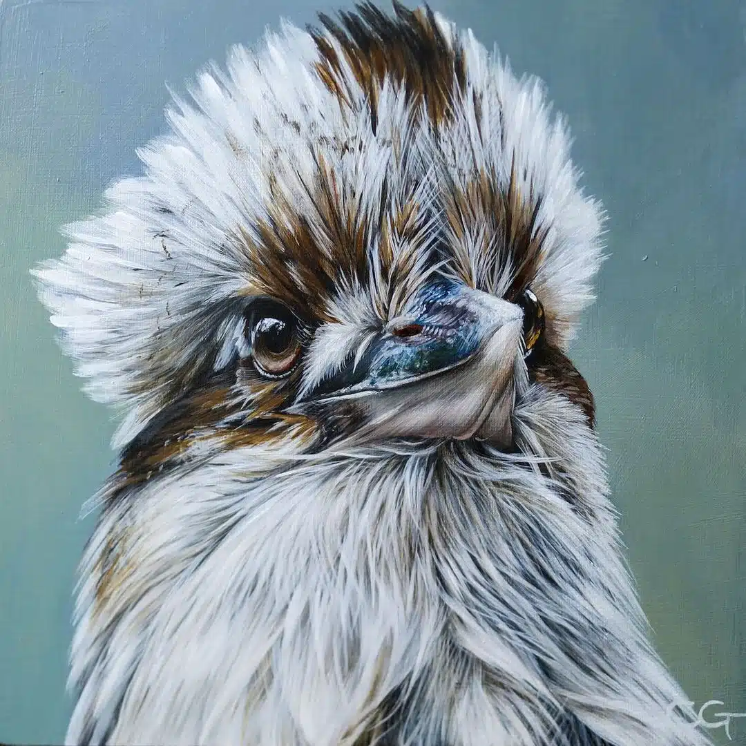 Wildlife Paintings by Carla Grace Ollwitz