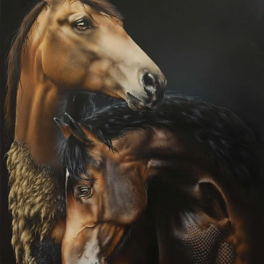 Wildlife Paintings by Carla Grace Ollwitz