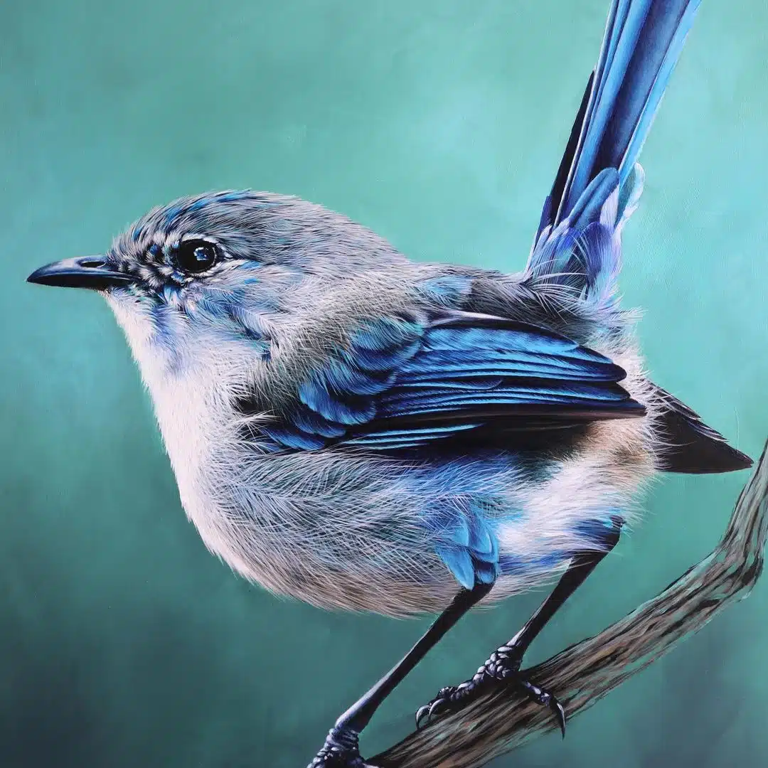 Wildlife Paintings by Carla Grace Ollwitz