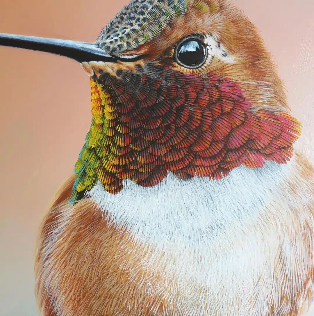 Wildlife Paintings by Carla Grace Ollwitz
